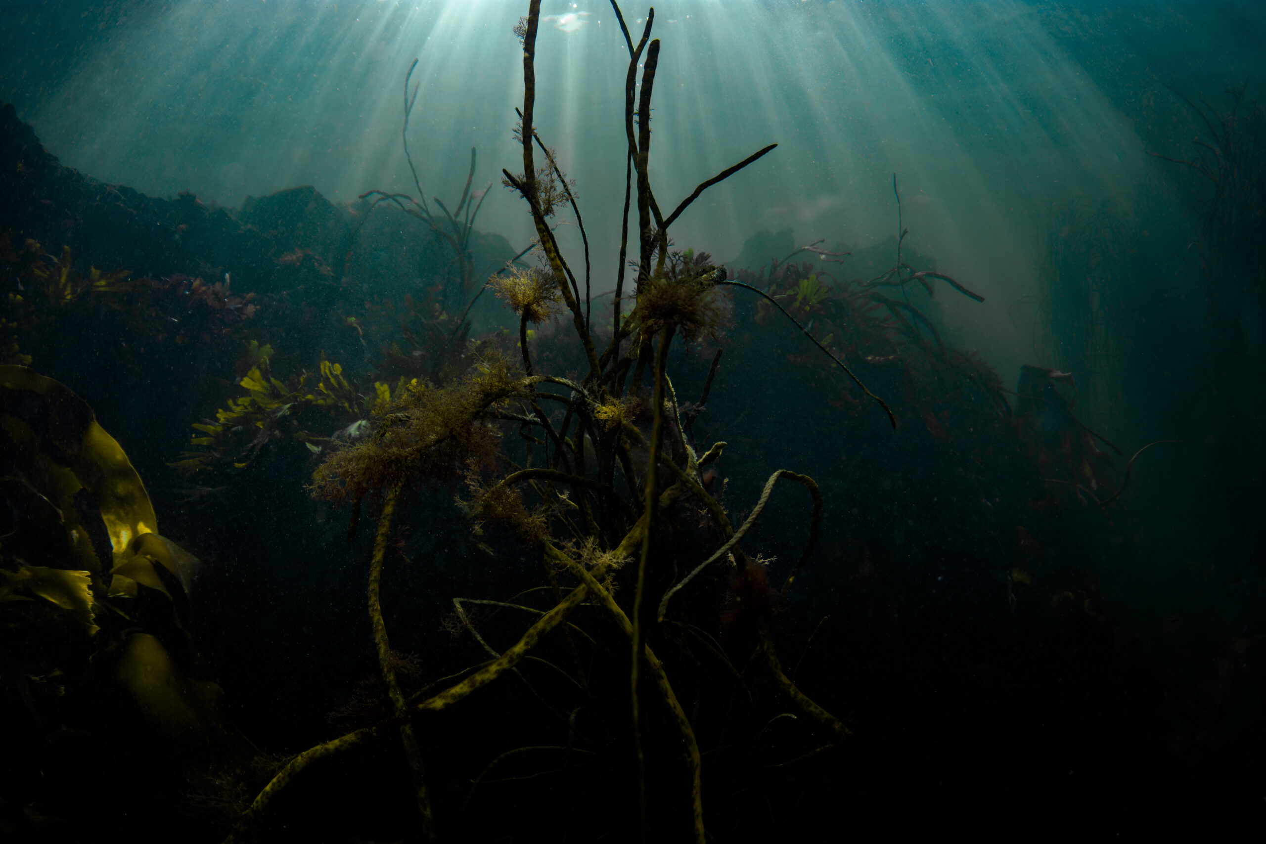 Ocean Sun rays